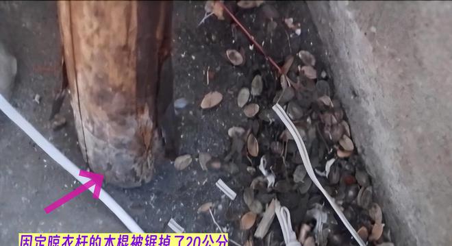 案件：妻子取天线万谋害妻子k8凯发入口2017年江西(图10)